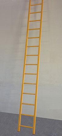 Pultrac FRP Ladders